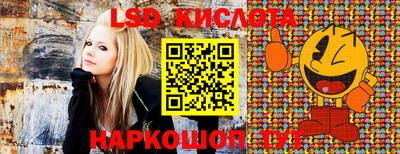 гашик Малоярославец