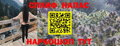 гашик Малоярославец