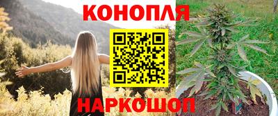 гашик Малоярославец